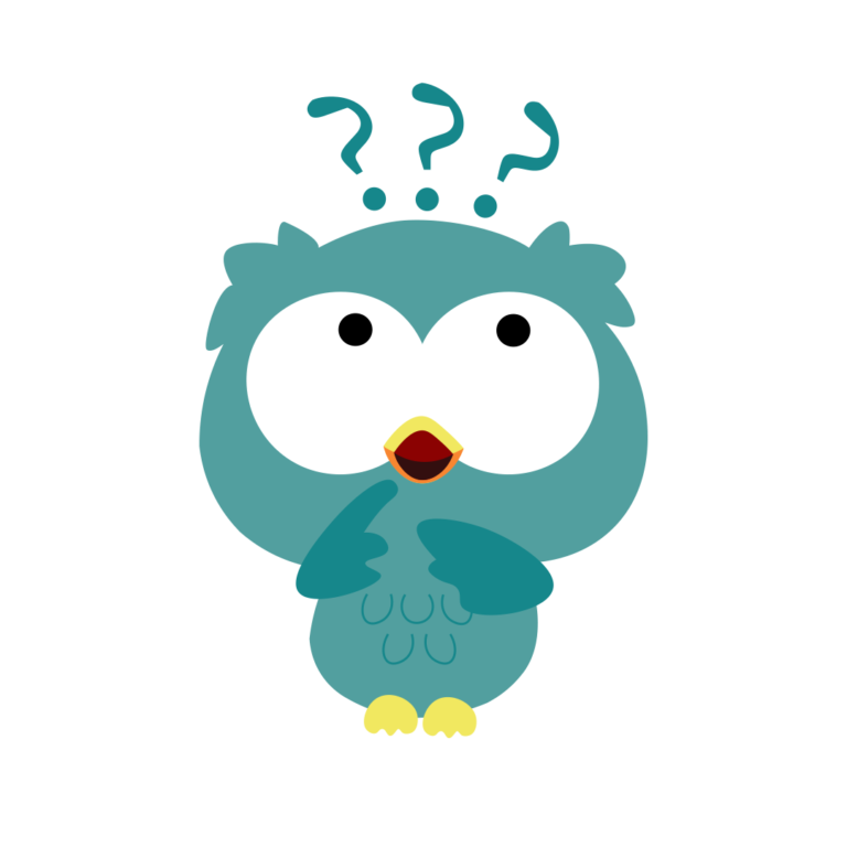 Shahnawaz Shaikh & Associates Thinking Banner Owl