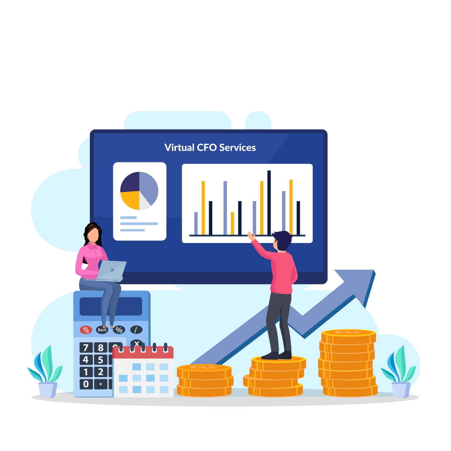 Virtual CFO Services