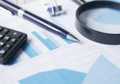 Statutory audit
