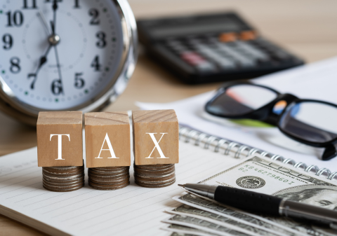Income Tax Return filing services