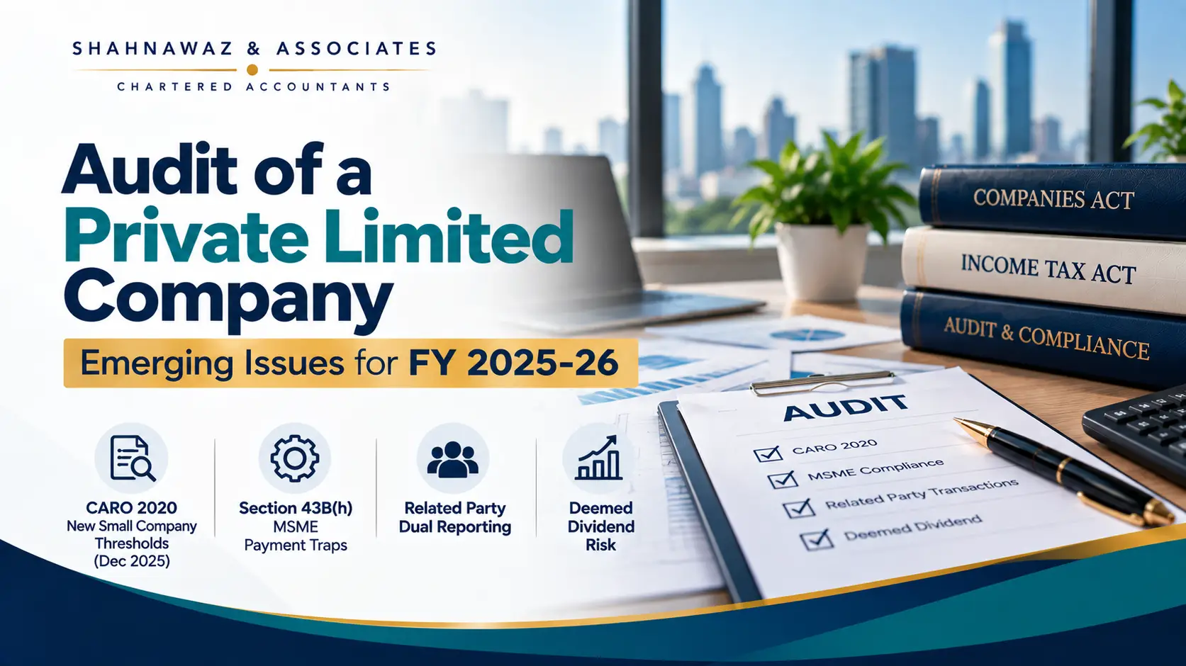 Private Limited Company Audit Guide