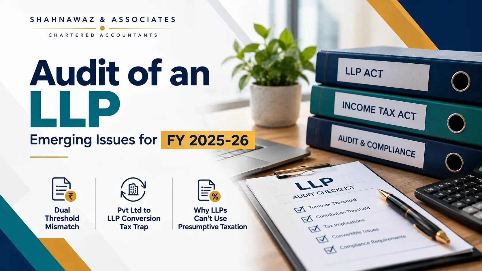 Limited Liability Partnership LLP Audit Guide